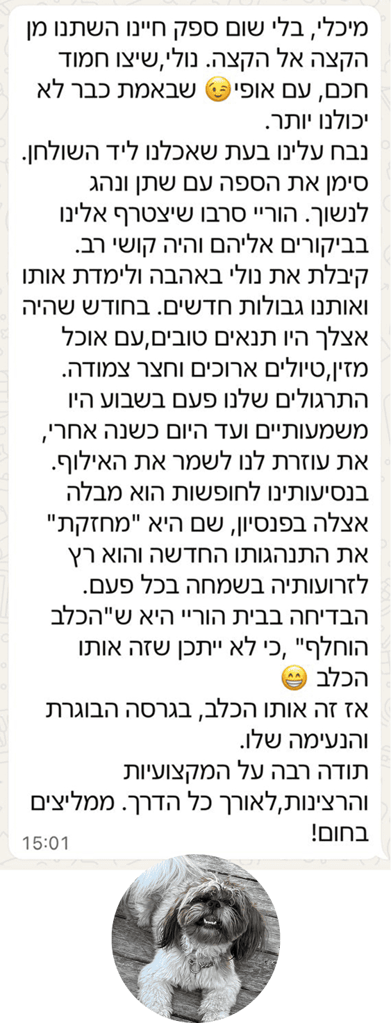 אילוף שיצו