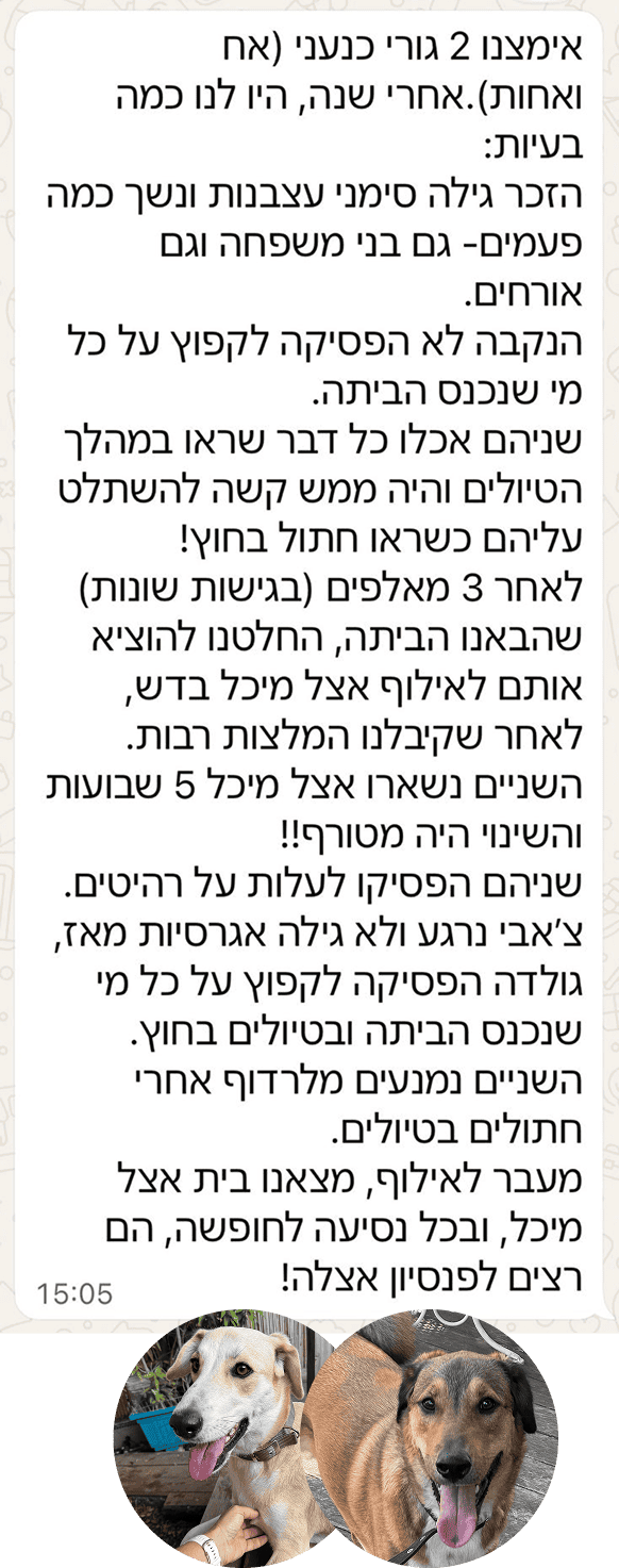 כנעני3