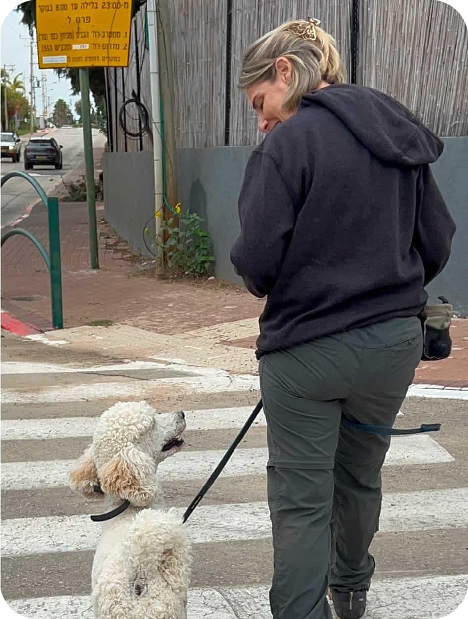 מאלפת כלבים | תמונות שלי עם הכלבים החמודים שלכם בפנסיון