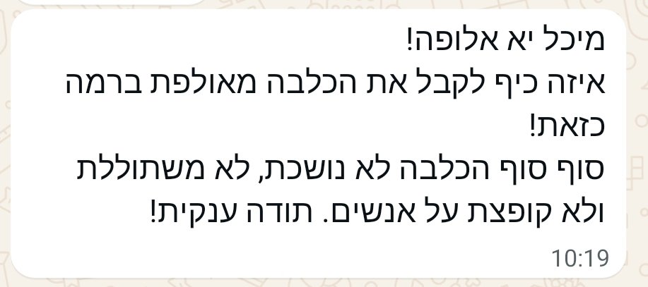 המלצה על מיכל מאלפת כלבים